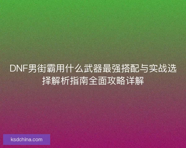 DNF男街霸用什么武器最强搭配与实战选择解析指南全面攻略详解