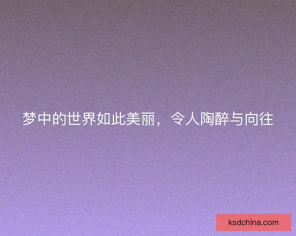 梦中的世界如此美丽，令人陶醉与向往